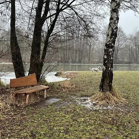 Affittacamere Alter Konsum *