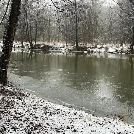 Alter Konsum Affittacamere