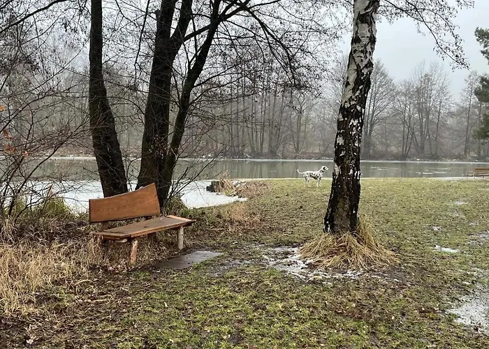 Affittacamere Alter Konsum *