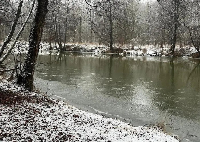 Alter Konsum Pensión